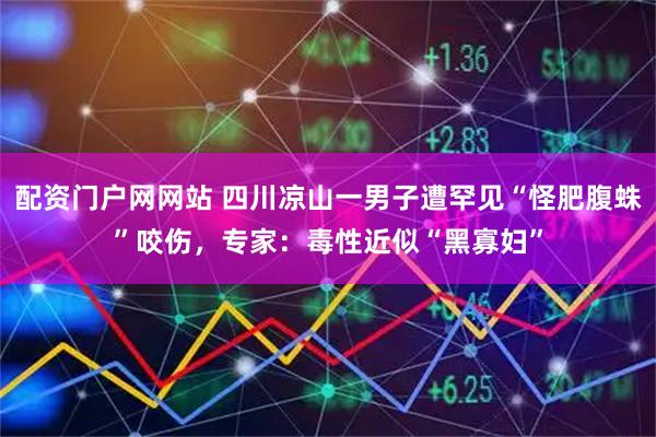 配资门户网网站 四川凉山一男子遭罕见“怪肥腹蛛”咬伤，专家：毒性近似“黑寡妇”