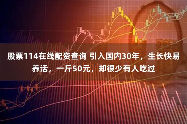 股票114在线配资查询 引入国内30年，生长快易养活，一斤50元，却很少有人吃过