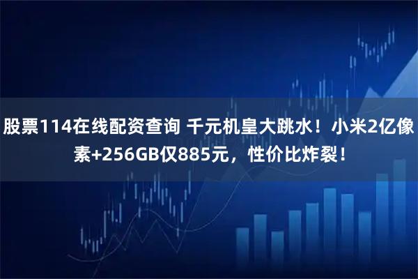 股票114在线配资查询 千元机皇大跳水！小米2亿像素+256GB仅885元，性价比炸裂！