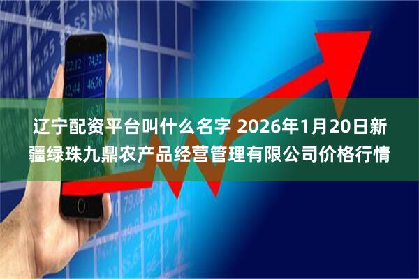 辽宁配资平台叫什么名字 2026年1月20日新疆绿珠九鼎农产品经营管理有限公司价格行情