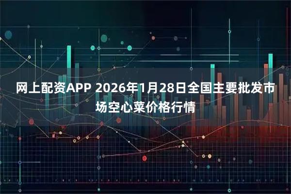 网上配资APP 2026年1月28日全国主要批发市场空心菜价格行情